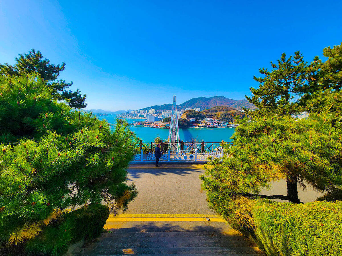 공원에서 바라보는 돌산대교 전경