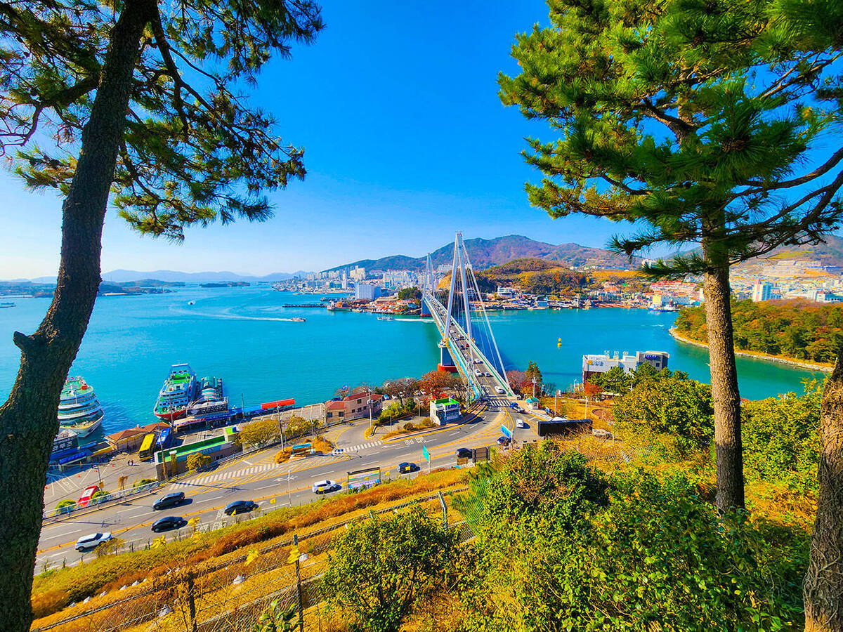 공원에서 바라보는 돌산대교 전경