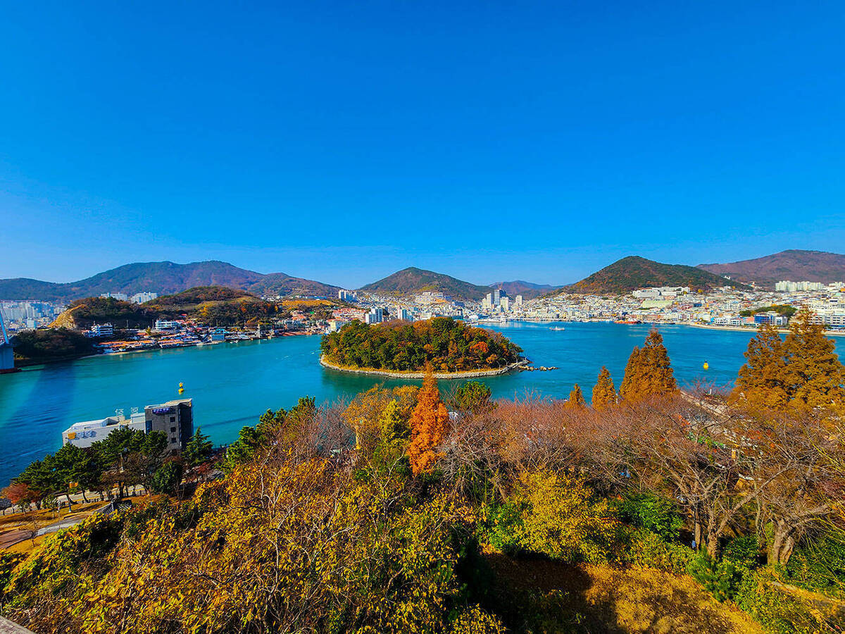 공원에서 바라보는 장군도 전경