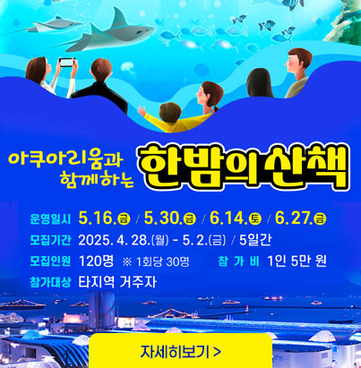 아쿠아리움과 함께하는 한밤의 산책