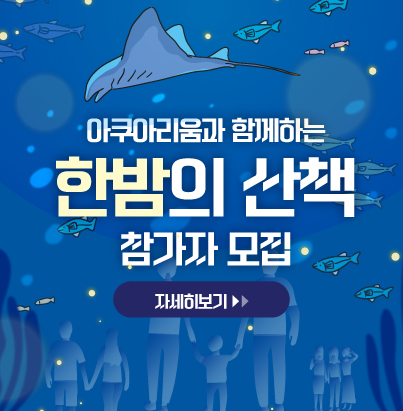 아쿠아리움과 함께하는 한밤의 산책 참가자 모집 자세히보기