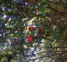 걷기여행하기 좋은 여수