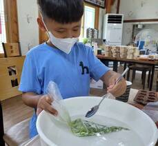 안포씨마을 체험및 낭도 여행