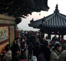 2023 향일암일출제