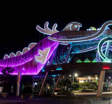 여수명품복국 활어회