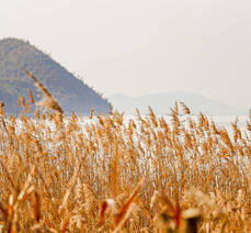 여수 문수동 일억조횟집