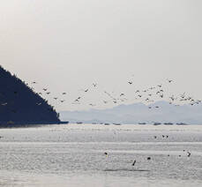 여수 문수동 일억조횟집