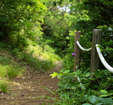대교식당 돌게장