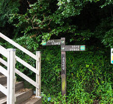 대교식당 돌게장