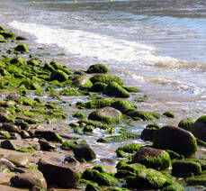 무술목 해수욕장