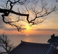 28회 향일암 일출제