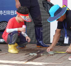 2019 여자만갯벌노을체험행사 대나무낚시