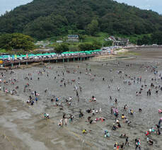 2023년 여수여자만갯벌노을체험행사