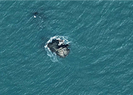 뒷여(남면 유송리)