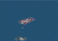 모기여 동도리(127-1)