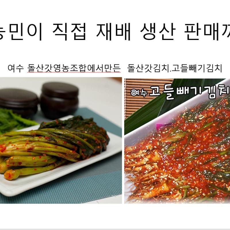 농민이 직접 재배 생산 판매까지 -여수 돌산갓영농조합에서 만든 돌산갓김치. 고들빼기김치 제품 사진