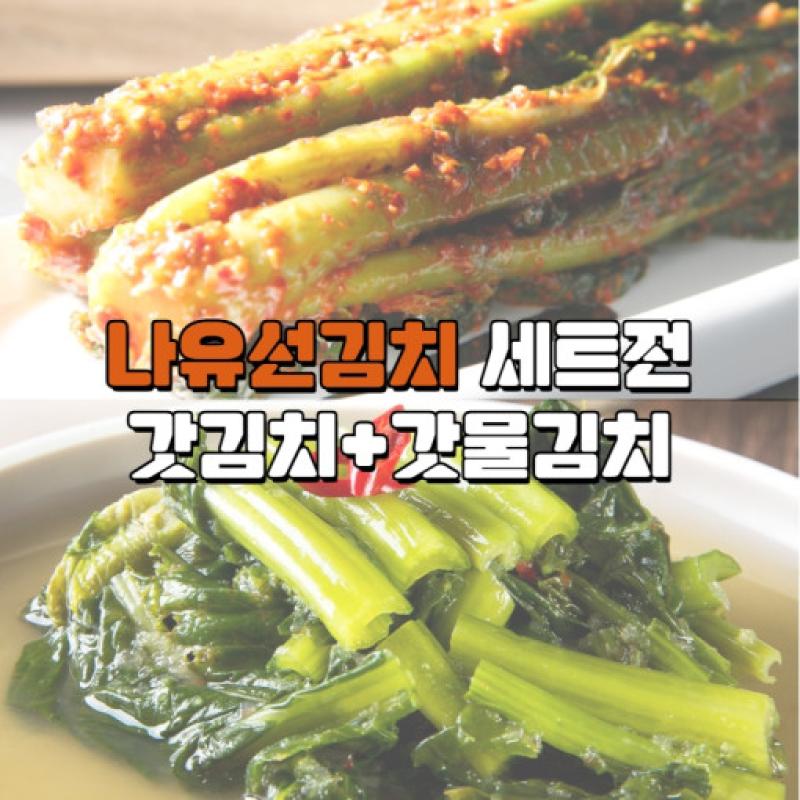 나유선김치 세트전 갓김치+갓물김치