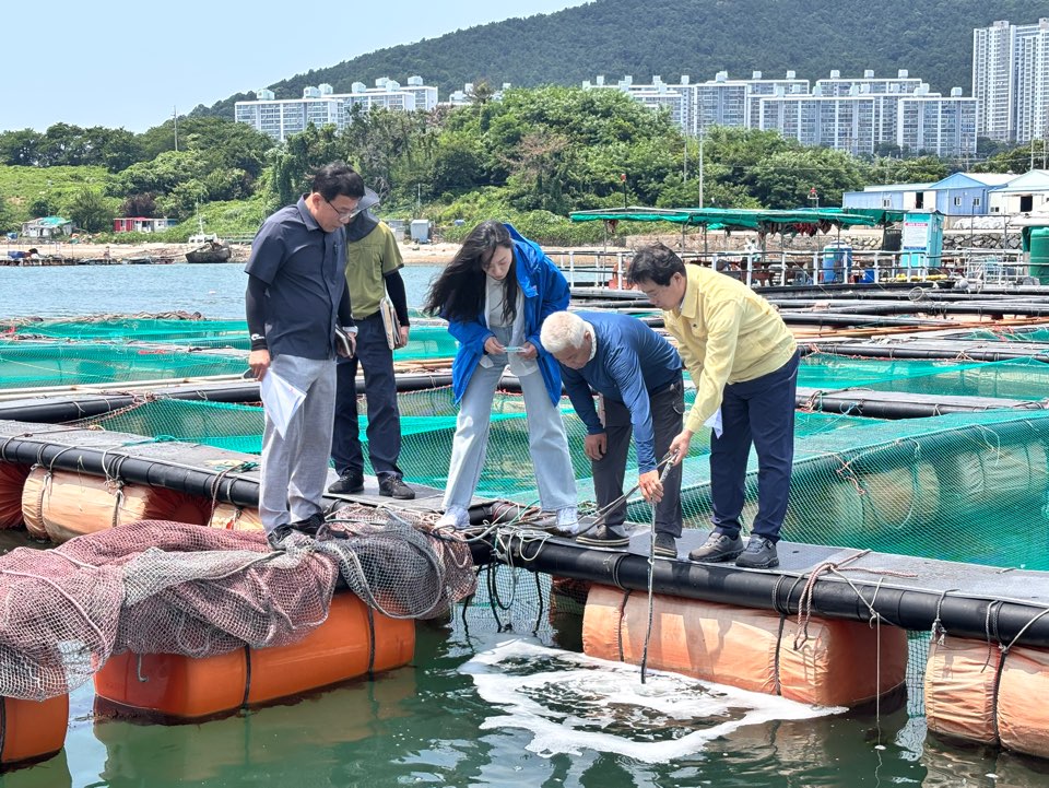 1-1 여수시, 고수온 피해 예방 총력 대응