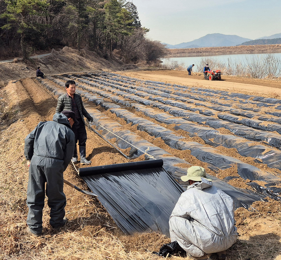 2025 여수시 서부 농촌지도자회 봉사활동 사진