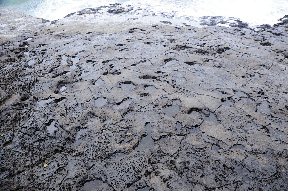바다 근처의 바위 표면에 다양한 크기의 발자국과 물이 고인 자국이 보이는 장면이다.