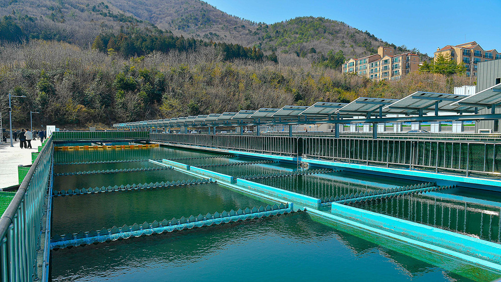 수조가 있는 시설에서 사람들이 대기하고 있는 모습으로, 배경에는 산과 건물이 보인다.