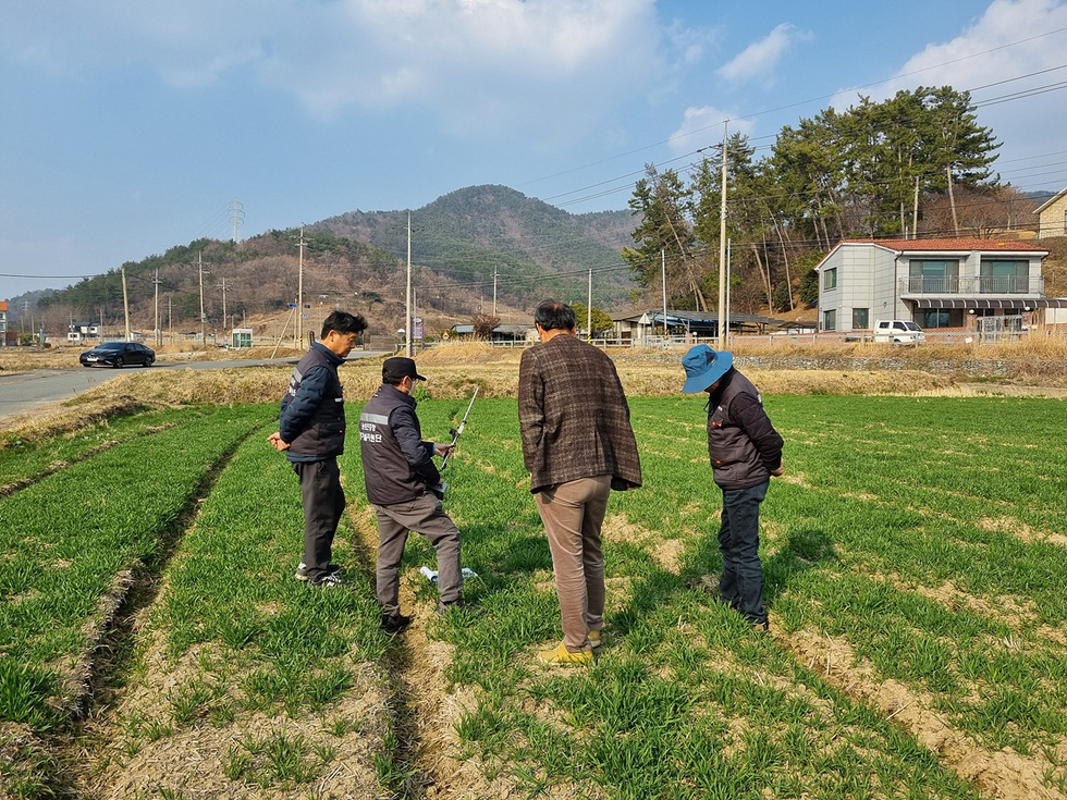 농부들이 밭에서 작물 상태를 점검하고 있는 모습으로, 배경에는 산과 주택이 보인다.