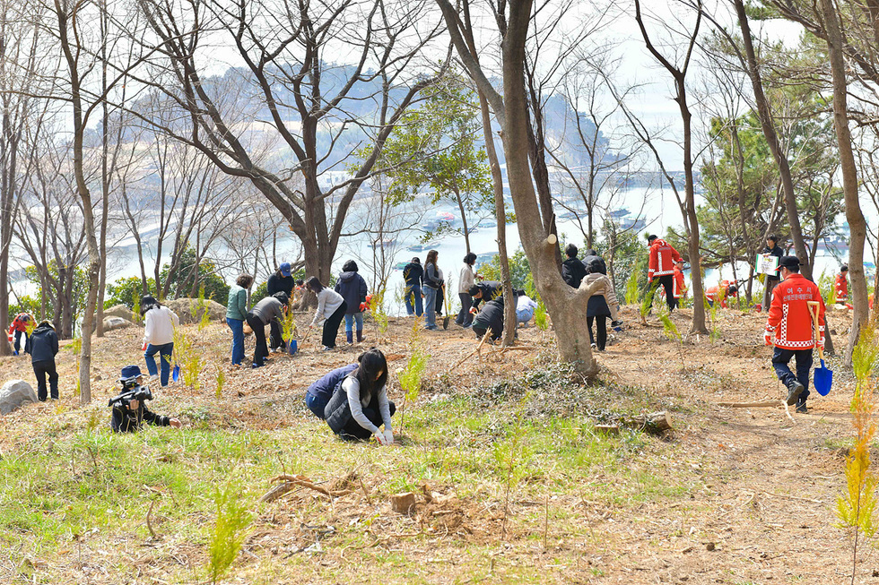 사람들이 나무를 심고 있는 모습으로, 여러 명이 숲속에서 식물을 심고 있으며, 배경에는 바다가 보인다.