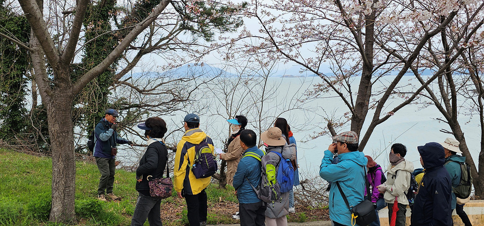 한 남성이 나무 아래에서 그룹에게 설명하고 있으며, 주변에는 벚꽃이 피어있고 바다가 보인다.