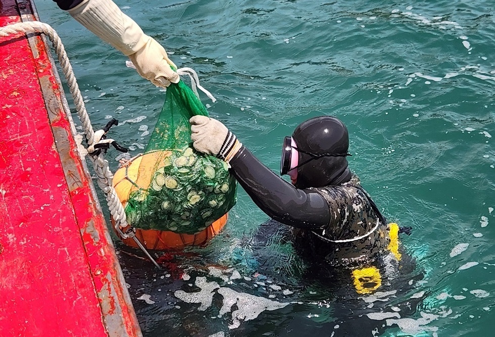 잠수복을 입은 잠수부가 바다에서 그물을 들어올리고 있으며, 다른 사람이 그물을 잡고 있다. 배의 일부분과 물결이 보인다.