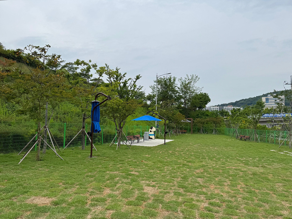 푸른 잔디밭에 파란색 우산이 있는 벤치와 나무들이 있는 공원 풍경이다. 배경에는 건물과 울타리가 보인다.