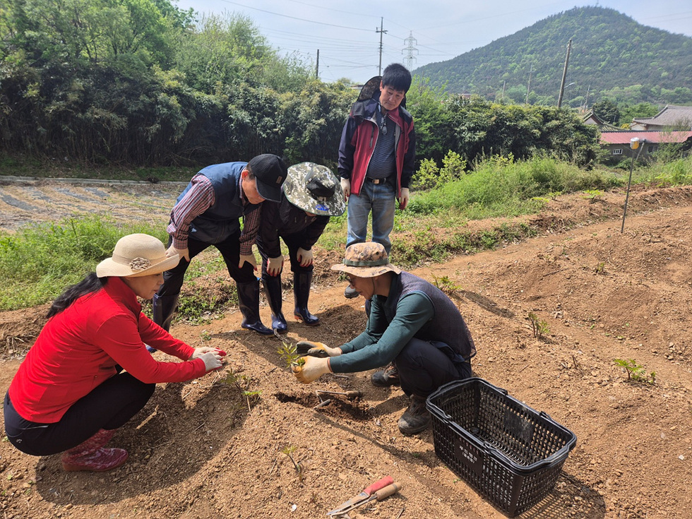 농작물 심는 방법을 참가자에게 알려주고 있는 사진