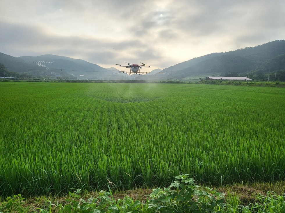 여수시, 벼 병해충 적기 방제 총력… 약제 및 항공방제를 하고있는 사진