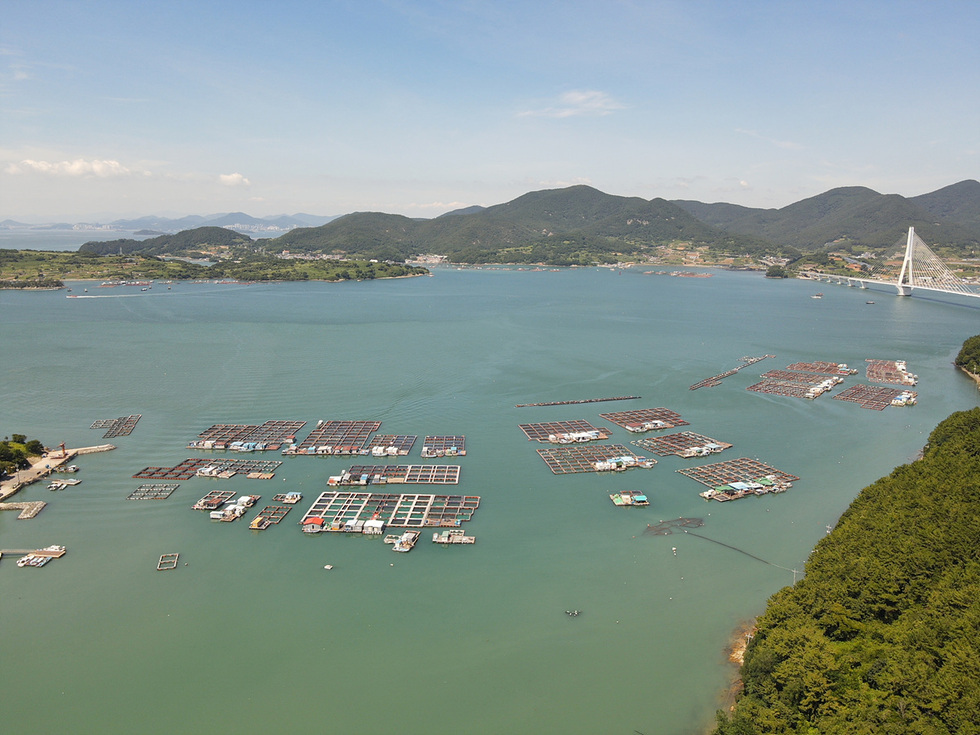 바다 위에 조성된 가두리 양식장과 연안 풍경