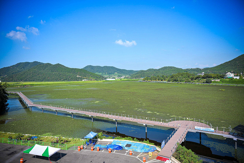 푸른 하늘 아래 넓은 수면과 그 위에 놓인 나무 다리가 보인다. 다리 주변에는 초록색 식물들이 자생하고 있으며, 멀리 산과 건물들이 보인다.