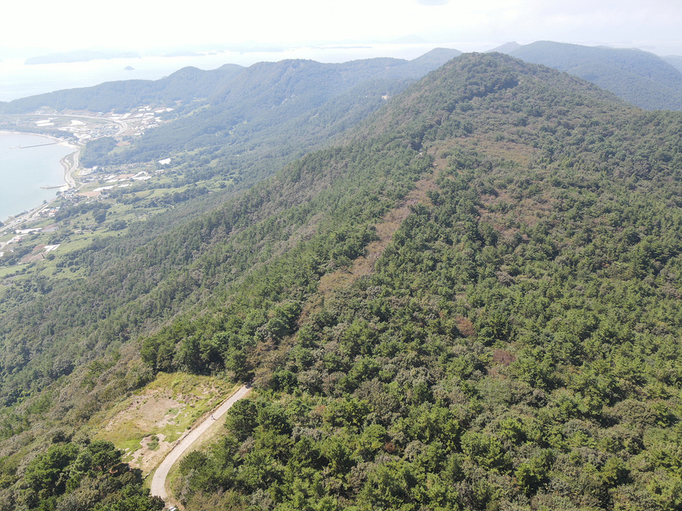여수시의 임도가 보이는 풍경으로, 산림과 해안선이 함께 담겨 있다. 추석 연휴를 맞아 임도가 개방될 예정임을 나타낸다.