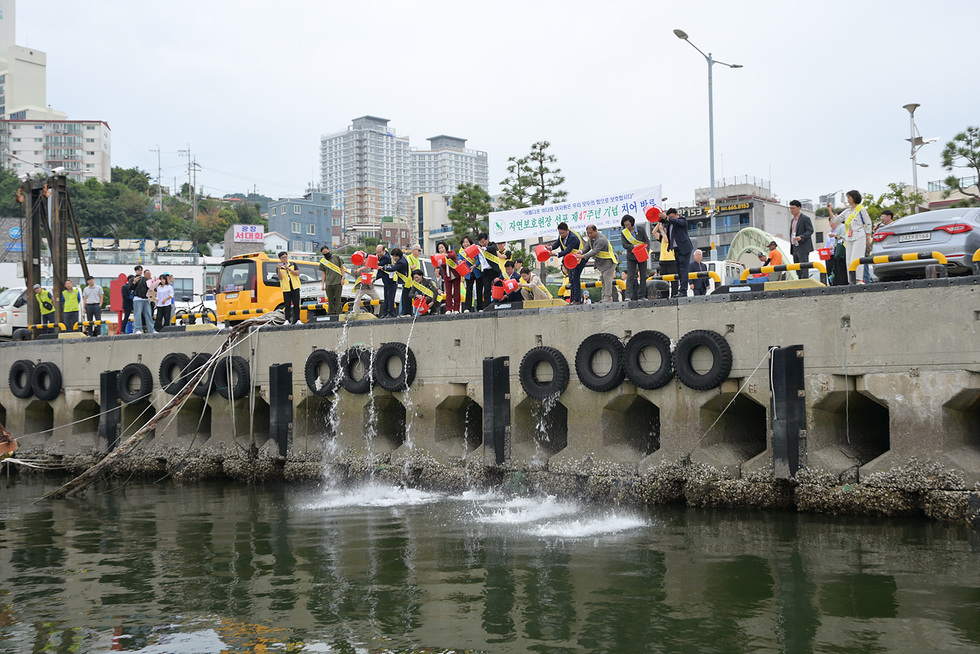 여수시 종포해양공원에서 시민들과 공무원들이 환경 정화활동을 하며 어린 물고기를 방류하는 장면