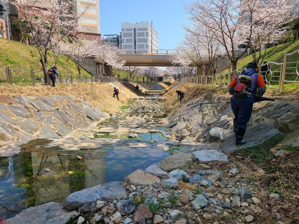 1-1 노인역량활용 선도모델 사업 2년 연속 성과.jpg