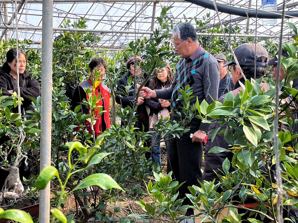 6-1여수시, 고품질 과실 생산을 위한 정지·전정 현장 교육 실시.jpg