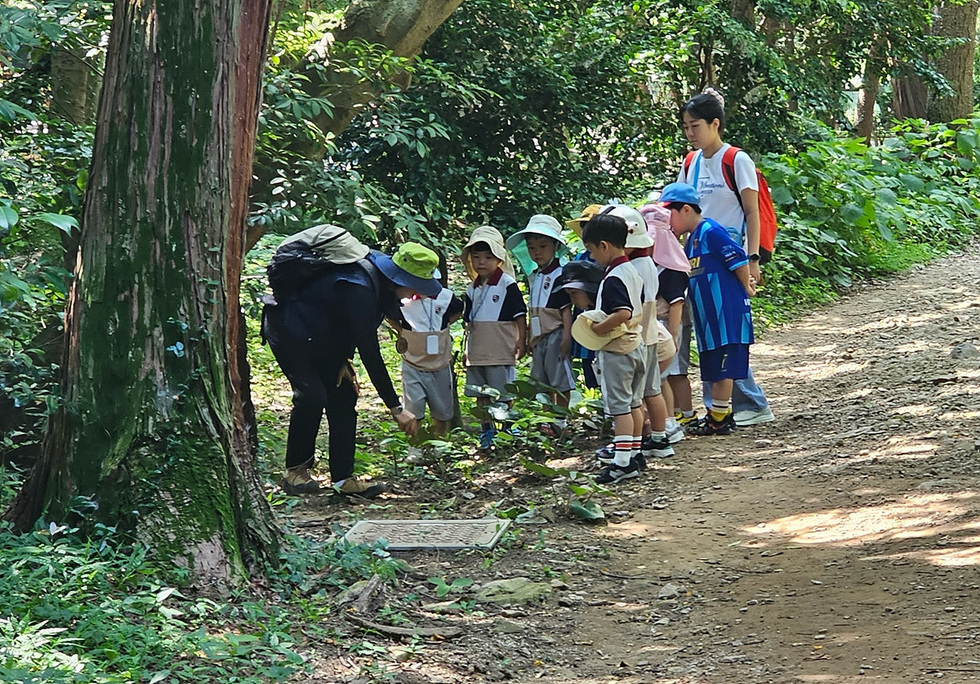 4 여수시, 2026년 유아숲체험원 프로그램 운영 시작.jpg
