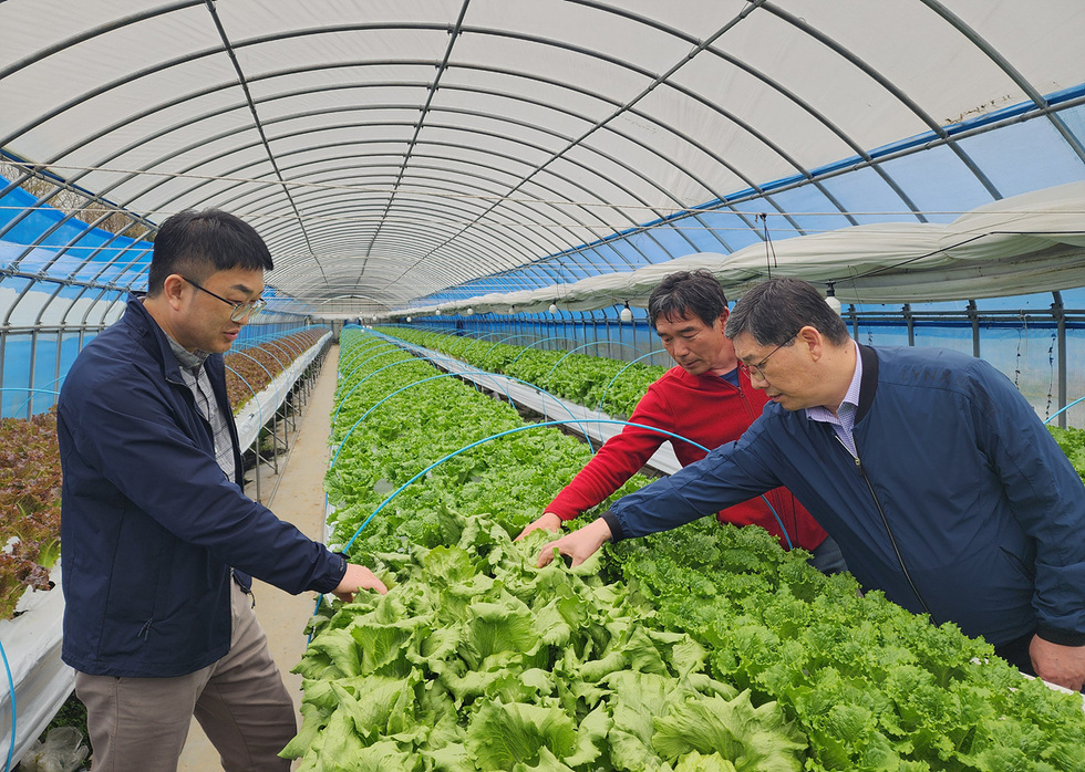 6-1 여수시, 학교급식 여수산 친환경농산물 공급 확대 ‘총력’.jpg