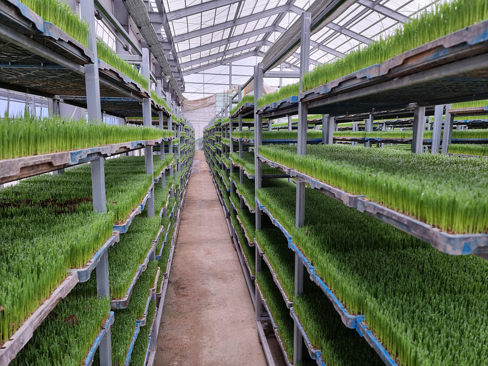 5-1 여수시, 벼농사 시작은 ‘안전 육묘’부터… 기상 이변 대비 당부.jpg