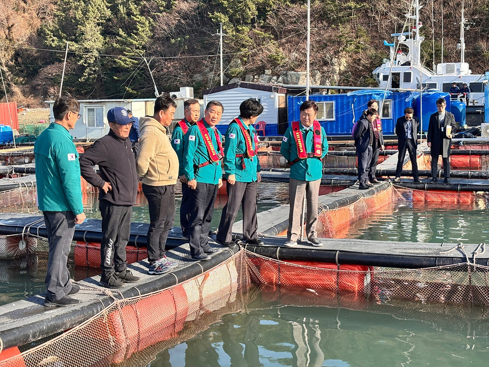 정기명 여수시장이 남면 화태리 어류양식장을 방문해 현장을 살펴본 뒤 신속한 피해 조사 및 복구계획에 대해 의논 하는 사진01