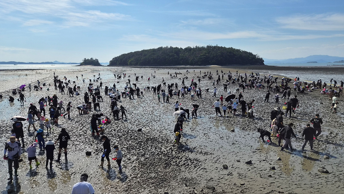 2026 Photo of the Yeoja Bay Tidal Flats